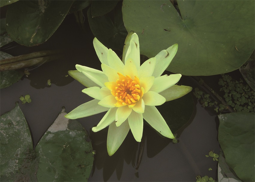 金獎?wù)?>
			    						<span><i></i></span>
			    					</div>
			    					<p class=