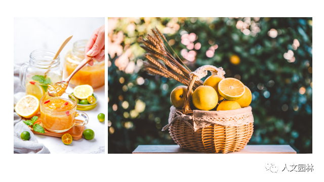 活動報名|人文園林旗下花點園藝五周年慶活動月來啦~古法香丸、柚子茶、無患子手工皂、圣誕花環(huán)DIY