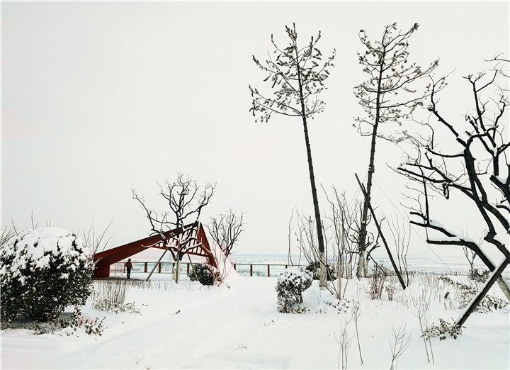 張俊捷-5.一點紅銹 2017-12-23  白紙黑墨再配上一筆暖色，構成了一幅有韻味的畫面。耐候鋼與油松的高矮對比，奠定了畫面的平衡。.jpg