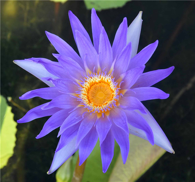 人文 藍(lán)天.jpg