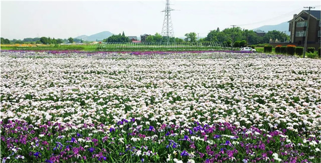 1551428411139952C09E.jpg QQ圖片20190301161616.jpg