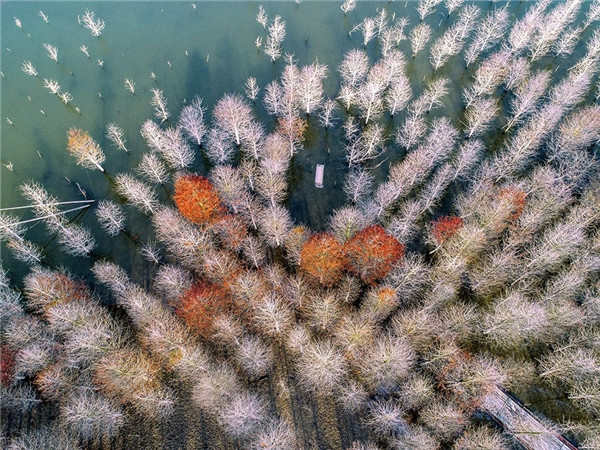 1556008703139870A092.jpg 1 (132).jpg