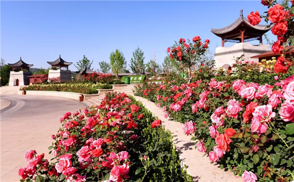 1557394471200269E106.jpg QQ圖片20190509173253.jpg