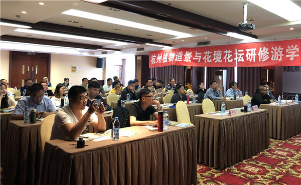 1558495987392148p744.jpg 5.jpg