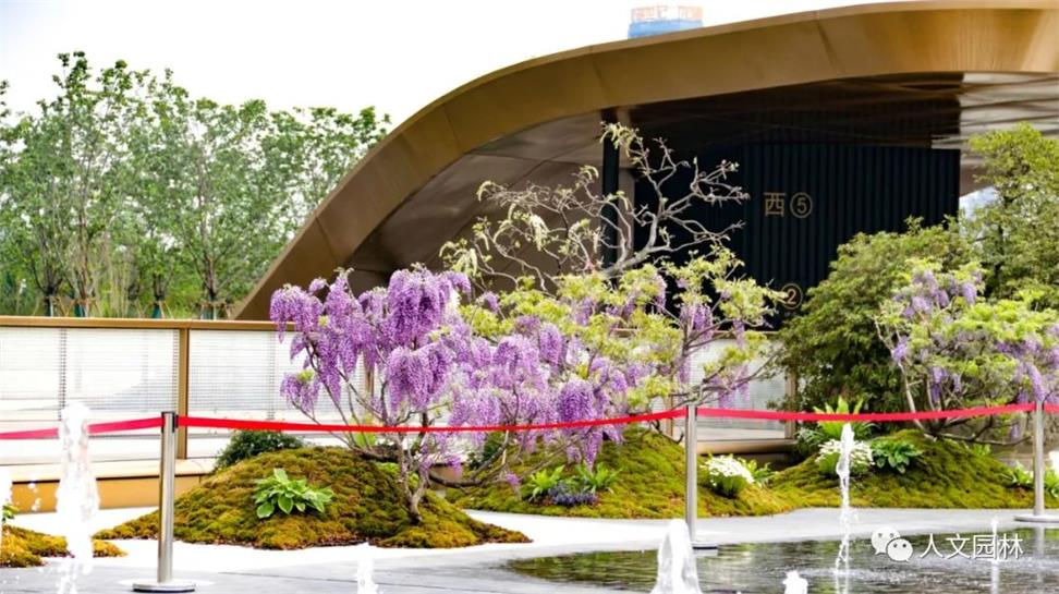 16823944525258481FFB.jpg 640 (5).jpg