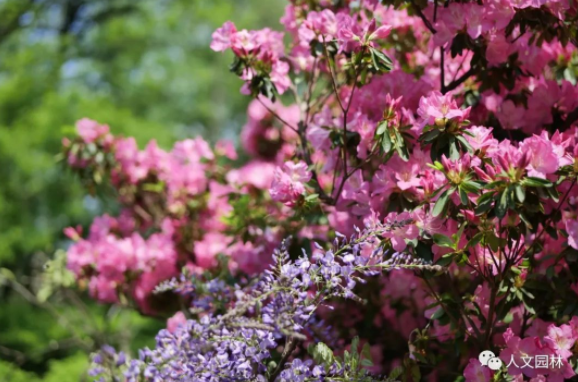 1683181774102123p93A.png image.png