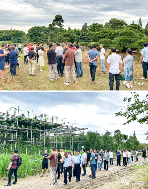 16880197098146777E20.png image.png