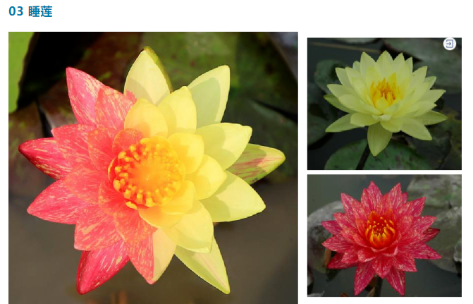 16880205535960335F28.png image.png